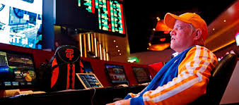 Spin Bounty Casino